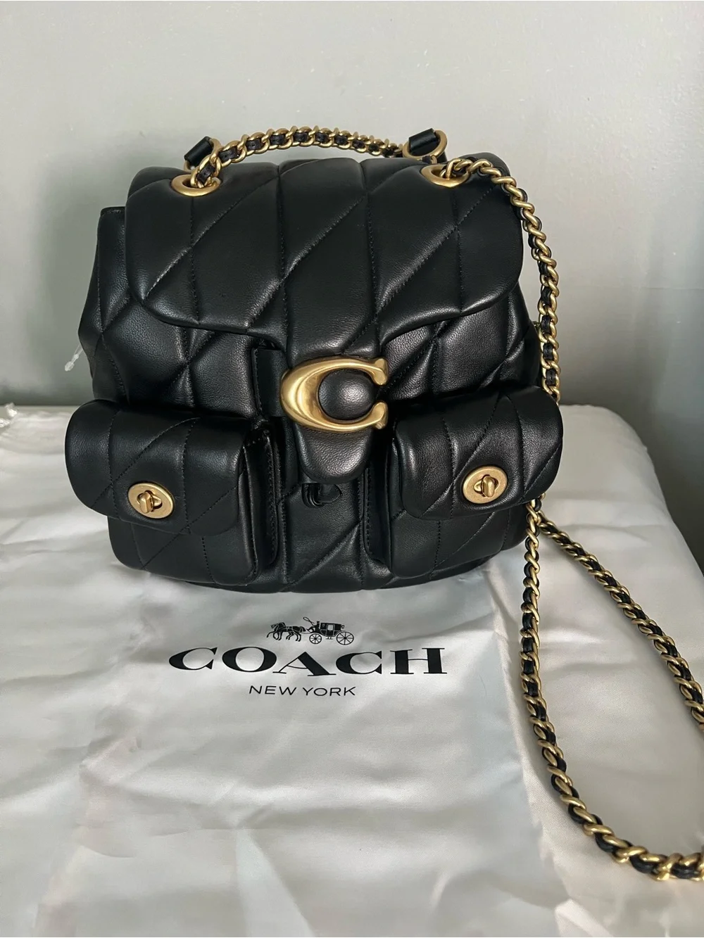 coach backpack tabby with Quilting Honey Brown One Size : Clothing, Shoes & Jewelry Spot clean only. Quilted tabby backpack : r/Coach